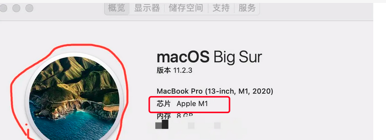 查看MAC处理器类型